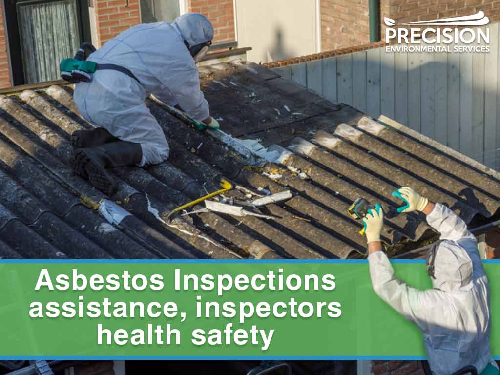 Asbestos Inspections assistance, inspectors health safety