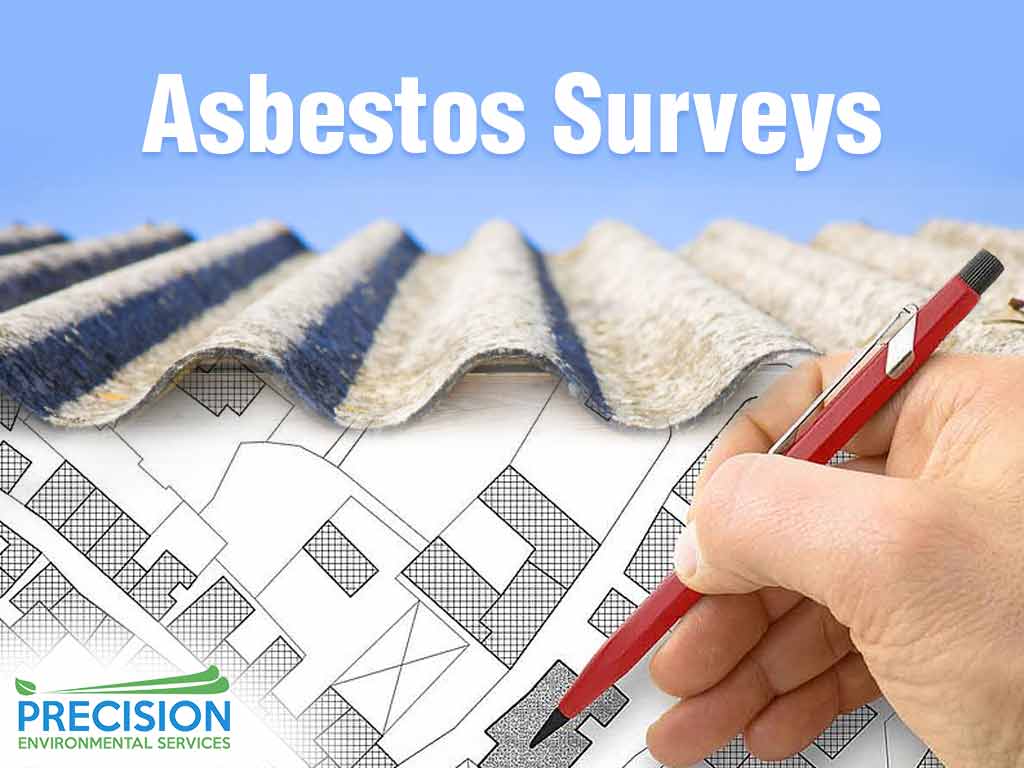 ASBESTOS SURVEYS