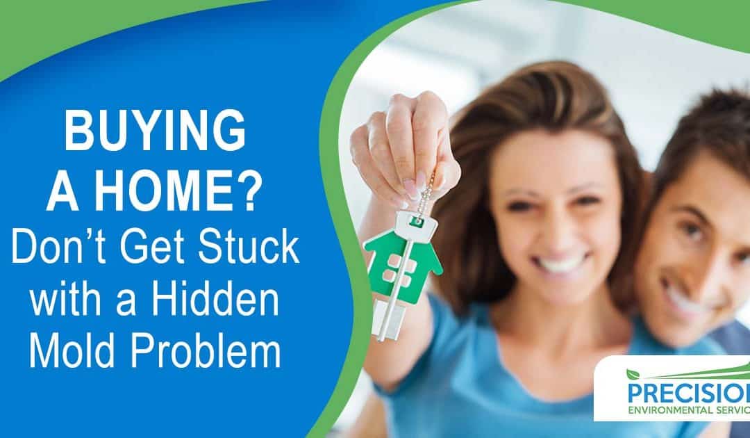 Buying a Home in Texas? Don’t Get Stuck with a Hidden Mold Problem