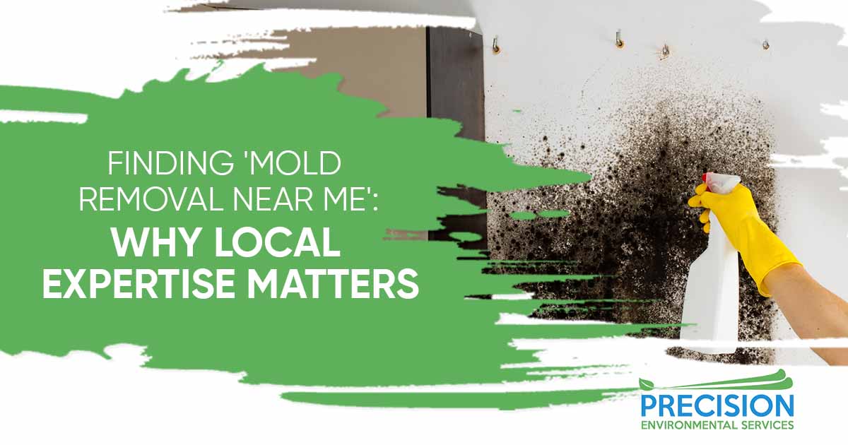 Finding Mold Removal Near Me: Why Local Expertise Matters