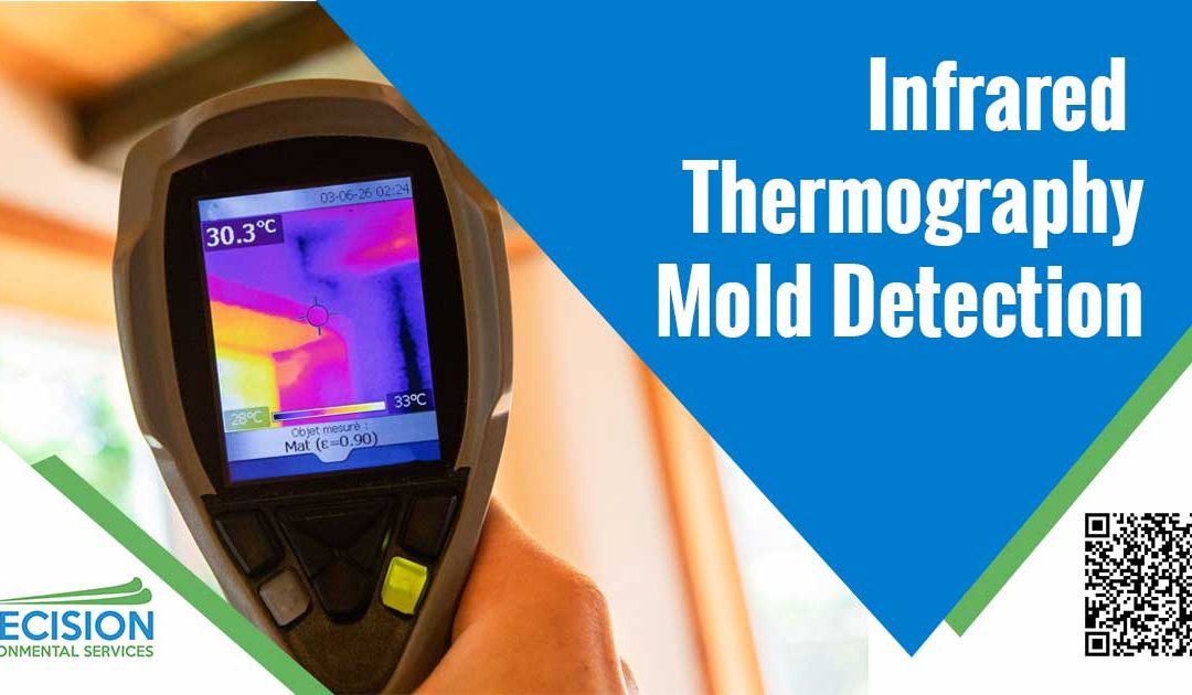 Infrared Thermography Mold Detection