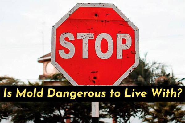 Photo of red stop sign with text: Is mold dangerous to live with?