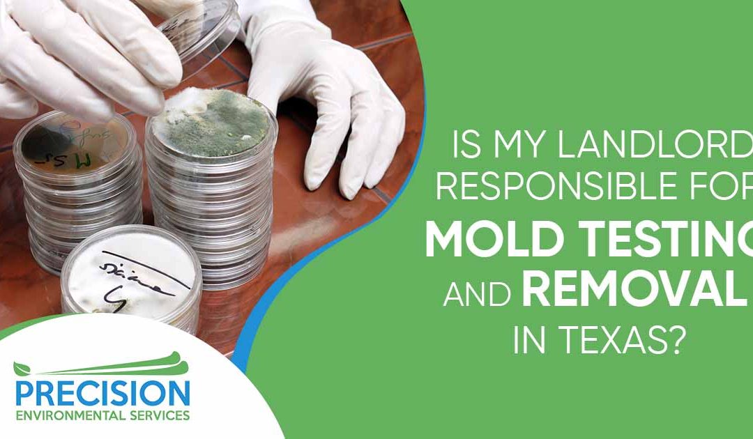 How to Deal with Asbestos, Mold, and More Precision Environmental