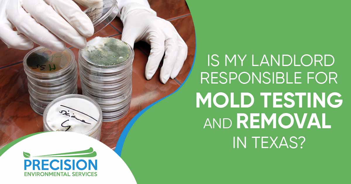 Image of Petri dishes. Mold is a common issue in Texas, and it can have serious health implications for you and your family. However, many people are unsure about their rights when it comes to mold testing and removal in rental properties. Mold can quickly spread throughout your home, causing allergies, respiratory problems, and even more serious health issues. Living in an environment with mold not only affects your well-being but also poses a risk to your loved ones. At Precision Environmental Services, we understand the importance of a safe and healthy living space. As a tenant in Texas, it's important to know that your landlord is responsible for mold testing and removal. Our team of experts specializes in mold inspection, testing, and remediation services. We will ensure that your landlord fulfills their obligation to provide you with a mold-free environment. Our state-of-the-art equipment and experienced professionals will identify any potential mold problems and provide effective solutions to eradicate it. Don't compromise on your health or suffer in silence. Contact Precision Environmental Services today for reliable and efficient mold testing and removal services that you are entitled to as a tenant in Texas!