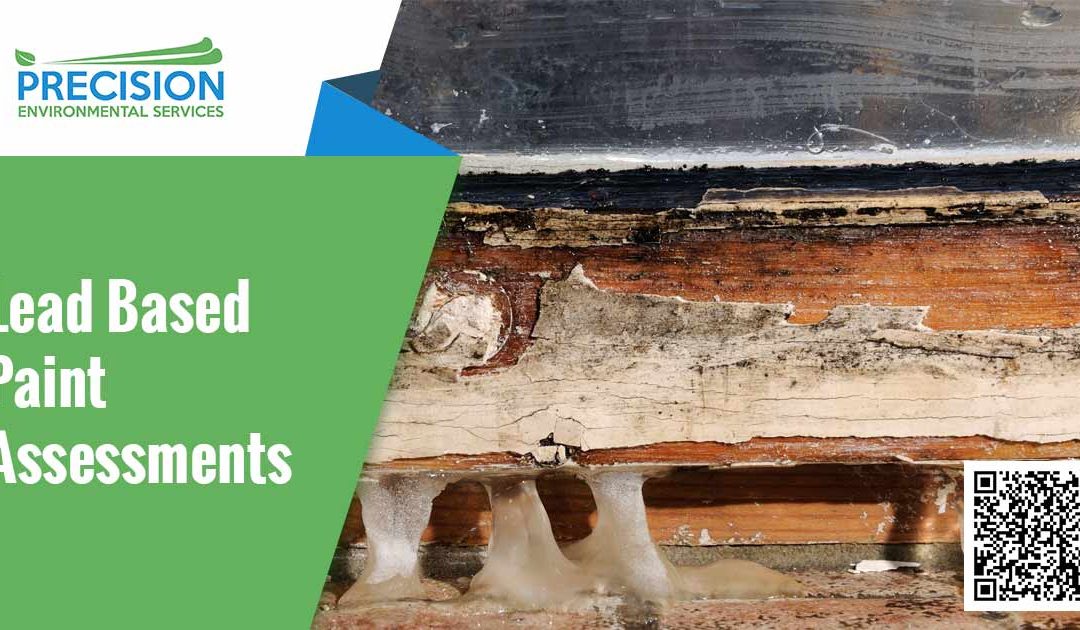 Lead Based Paint Assessments
