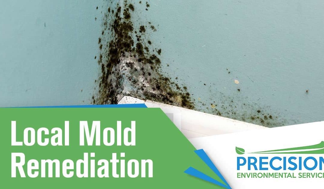Mold Remediation Company