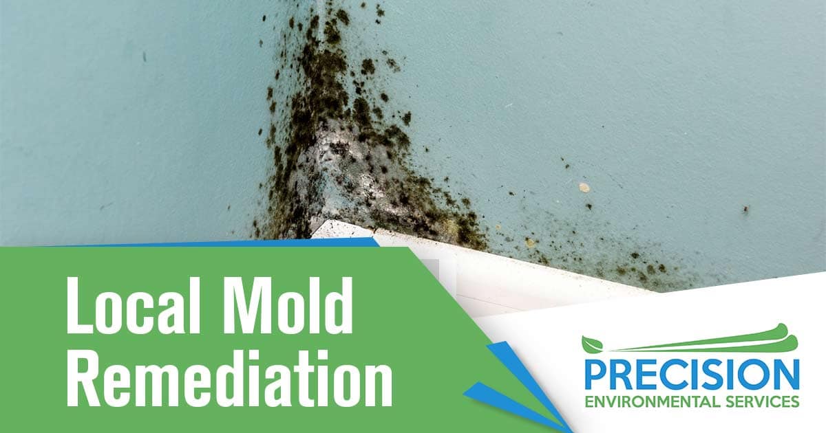 Image of mold on a light blue wall. Local mold remediation text is overlaid on a green background on the bottom left hand side of the image. Local mold remediation is the process of removing and treating mold growth in a localized area. This typically involves identifying the source of the moisture that is allowing the mold to grow, removing the mold, and then treating the affected area to prevent future mold growth. This process may also involve the use of specialized cleaning products, dehumidifiers, and other equipment to ensure the area is effectively treated.