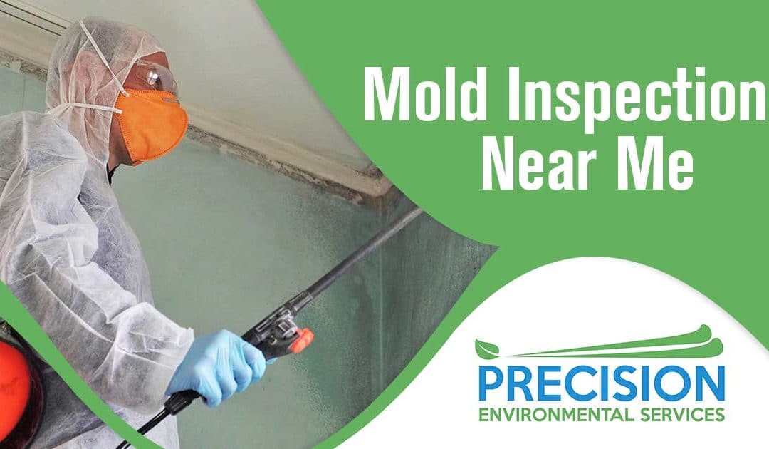 Mold Inspections Near Me