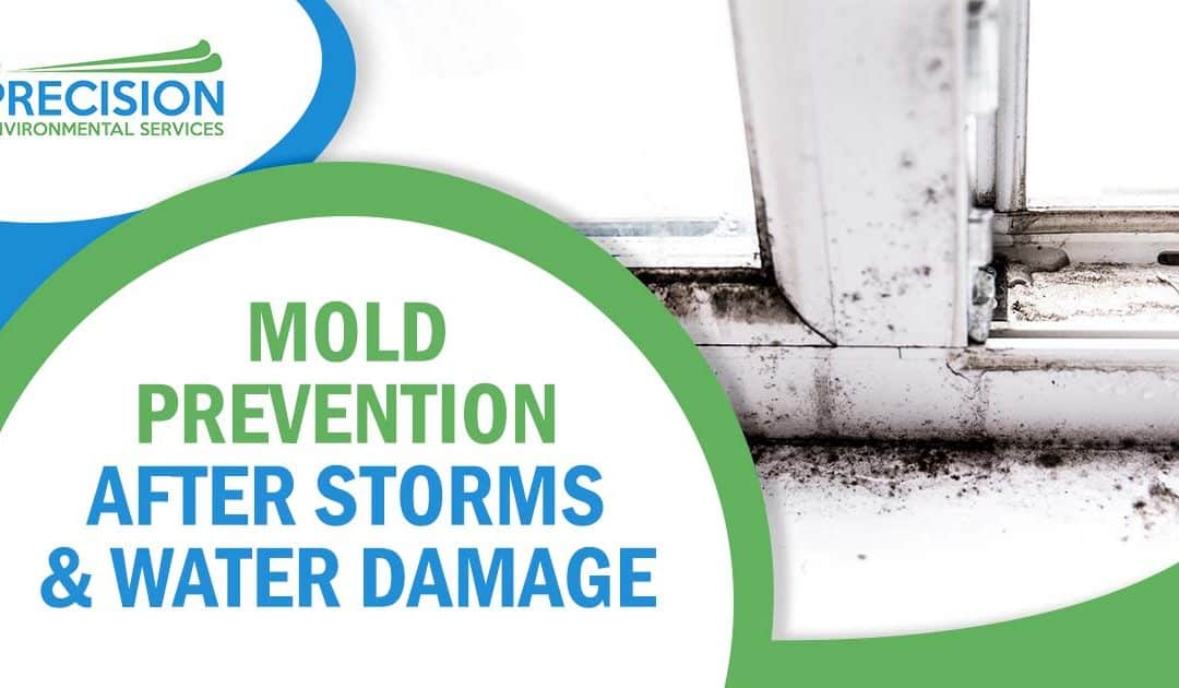 Mold Prevention After Storms & Water Damage in North Texas