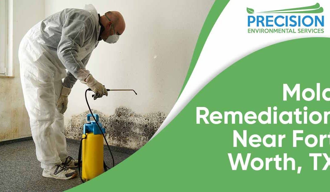 Find Residential Mold Remediation Near Fort Worth, TX