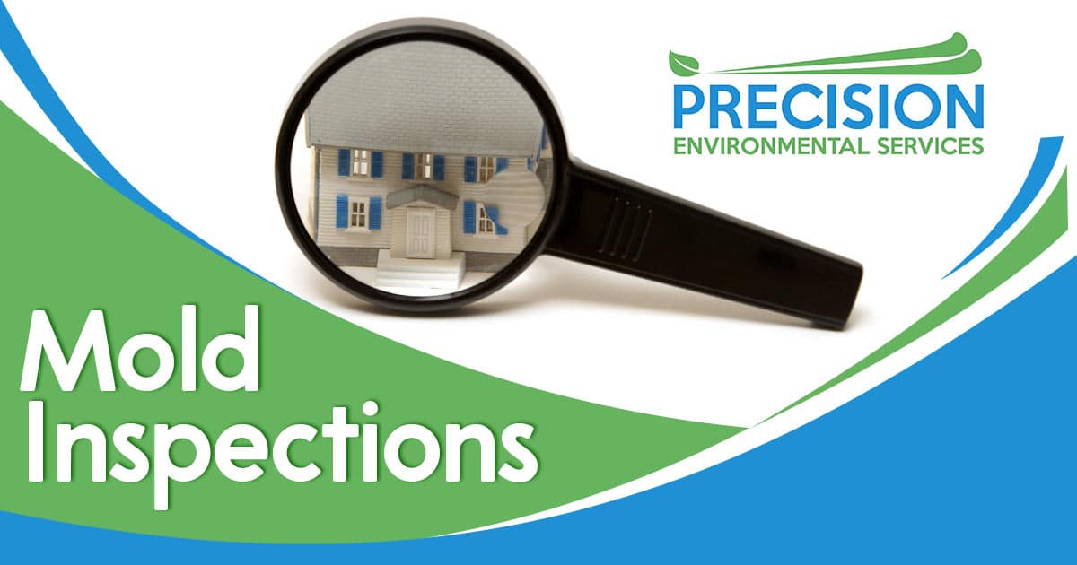 Image of a hand held magnifying glass over a home. Mold inspections text is overlaid on a green background on the left hand side of the image. Mold inspections are assessments of indoor environments to identify the presence, quantity, and type of mold present. They are conducted by trained professionals using specialized equipment to detect, quantify, and sample mold spores in the air or on surfaces. The inspection will identify whether the mold is non-toxic or potentially toxic, and whether it is an indoor air quality or structural problem. The inspection will also provide recommendations for removing or controlling the mold.