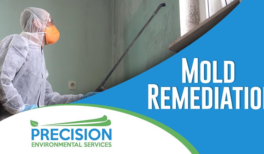 Mold Remediation