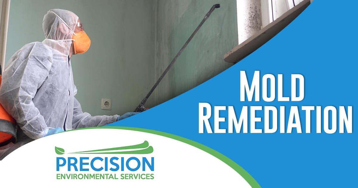 Mold Remediation