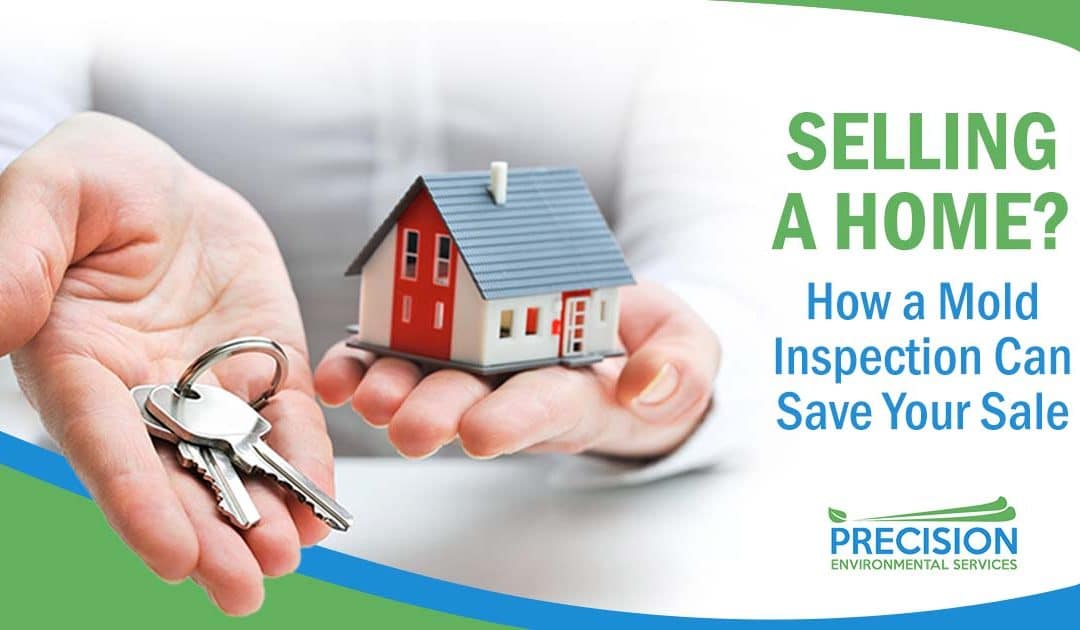 Selling a Home in Dallas? How a Real Estate Mold Inspection Can Save Your Sale