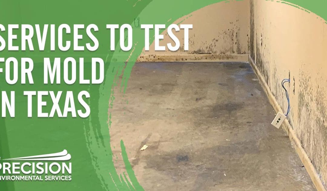 Mold Testing Services