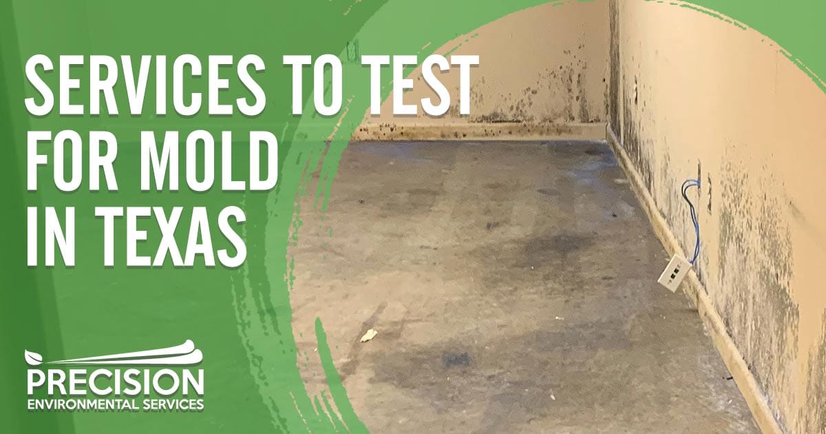 Image of the corner of a beige colored wall and concrete floor with lots of mold on the walls. Services to test for mold in Texas text is overlaid on a green background on the bottom left hand side of the image. Services to test for mold in Texas include air sampling, surface sampling, and bulk sampling. Air sampling involves testing the air for mold spores in order to detect the presence and type of mold. Surface sampling involves taking samples from surfaces, such as walls, ceilings, and floors, to test for mold growth. Bulk sampling involves taking samples of large amounts of material, such as insulation, to determine the presence and type of mold. These services are available from certified mold inspectors and remediators.