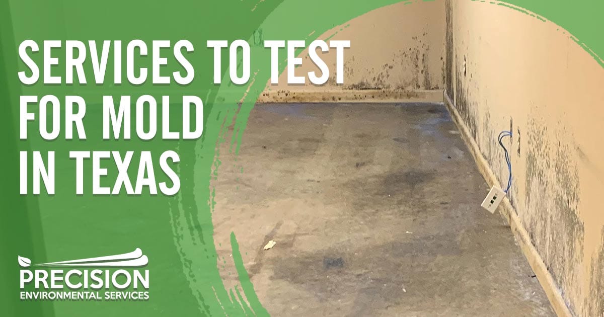 Mold Testing Services