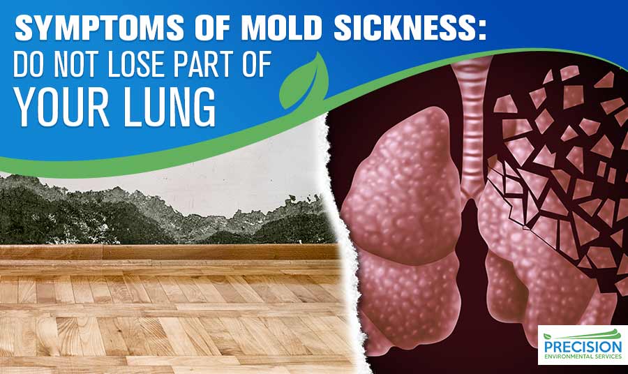 Symptoms of Mold Sickness-Precision Environmental Services
