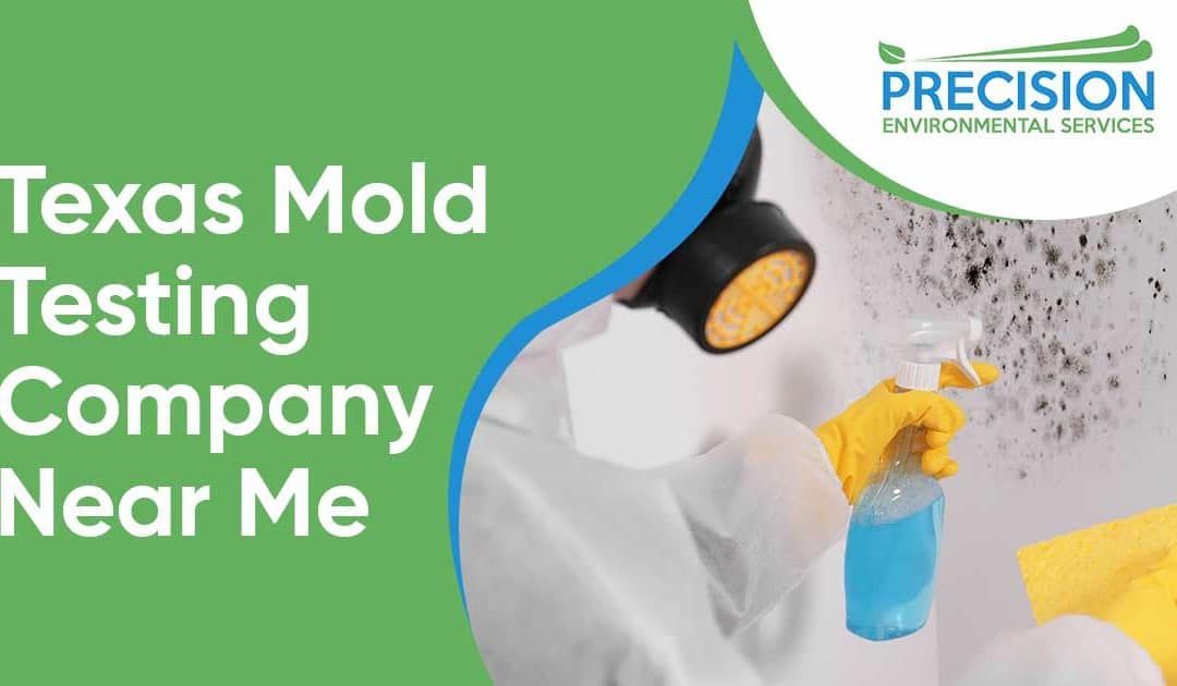 Texas Mold Testing Company Near Me