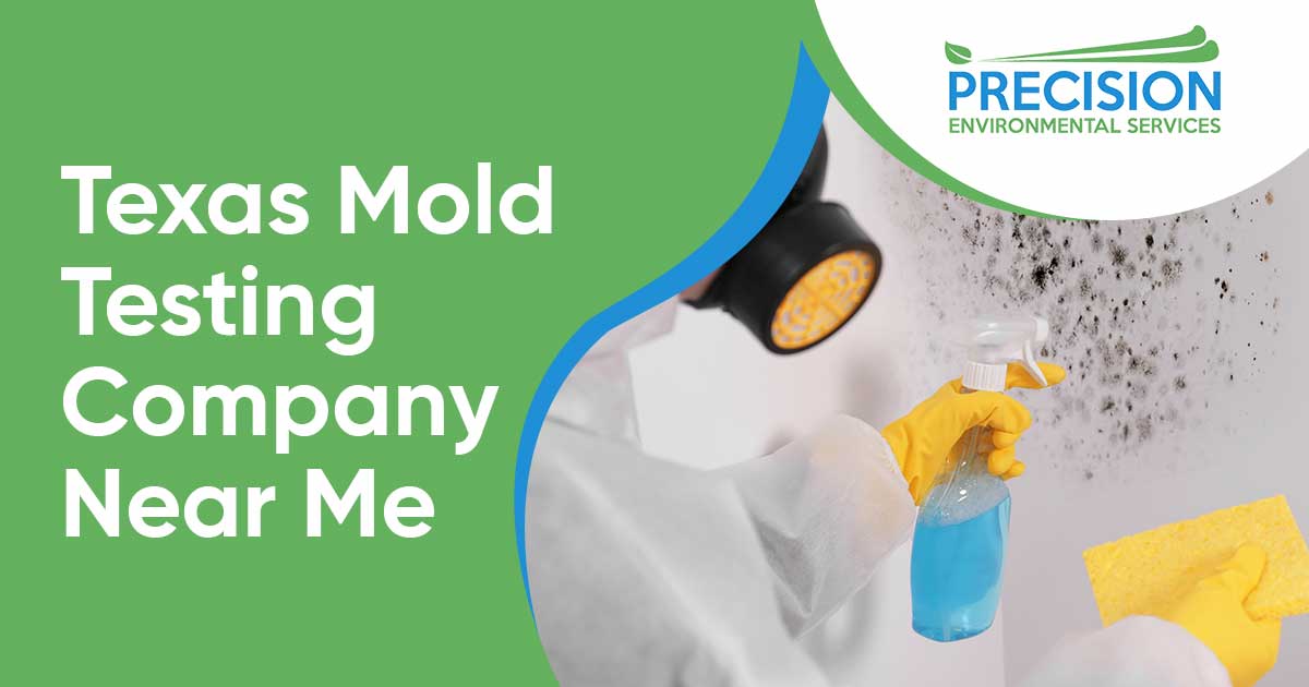 Texas Mold Testing Company Near Me