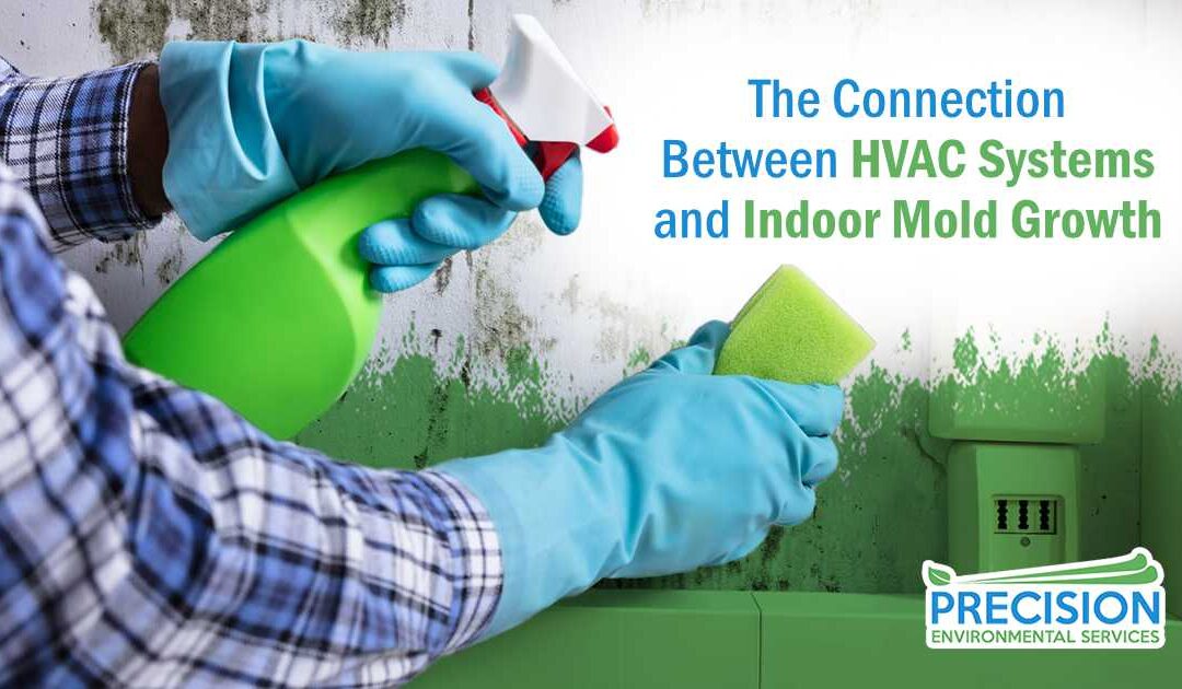 The Connection Between HVAC Systems and Indoor Mold Growth