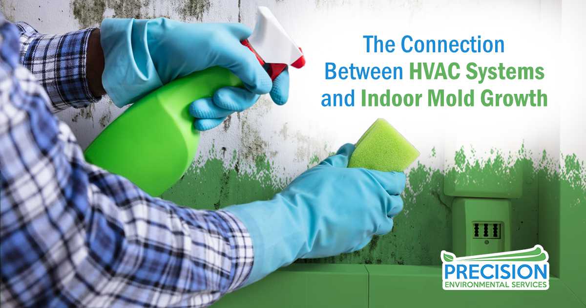 The Connection Between HVAC Systems and Indoor Mold Growth
