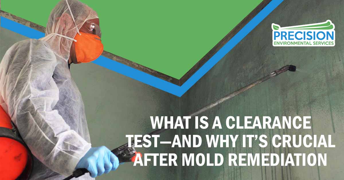 What is a Clearance Test—and Why It’s Crucial After Mold Remediation