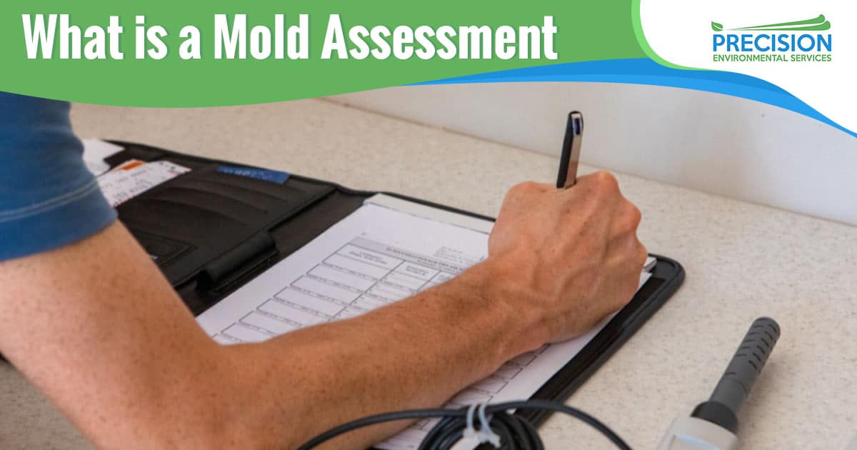 Image of a person writing something on a form attached to a clipboard. What is a mold assessment text is overlaid on a green background on the top left hand side of the image. A mold assessment is an inspection and analysis of a property or building to identify the presence of mold and to determine the extent of any existing mold contamination. The assessment typically involves a visual inspection, a moisture survey, sampling and laboratory analysis of the samples, and a report of the findings and recommendations. The assessment may also include an evaluation of the building materials and ventilation system to determine if they are contributing to or causing the mold growth.