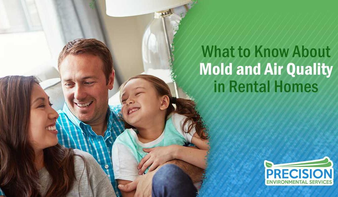 What to Know About Mold and Air Quality in Rental Homes