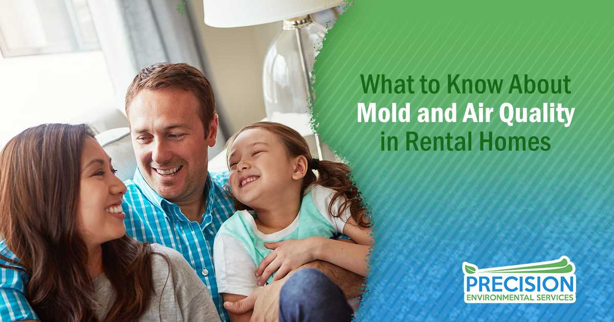 What to Know About Mold and Air Quality in Rental Homes