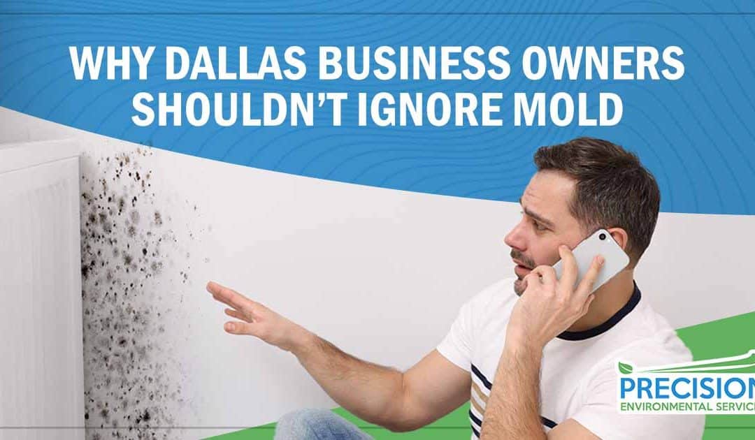 Commercial Mold Inspections: Why Dallas Business Owners Shouldn’t Ignore Mold
