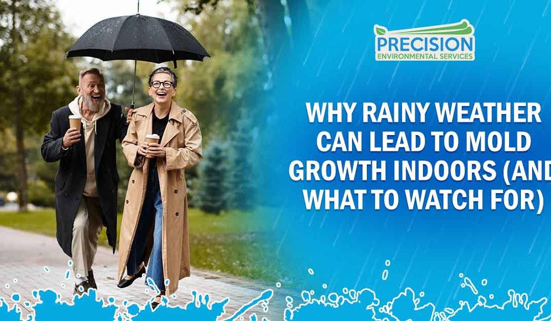 Why Rainy Weather Can Lead to Mold Growth Indoors (and What to Watch For)