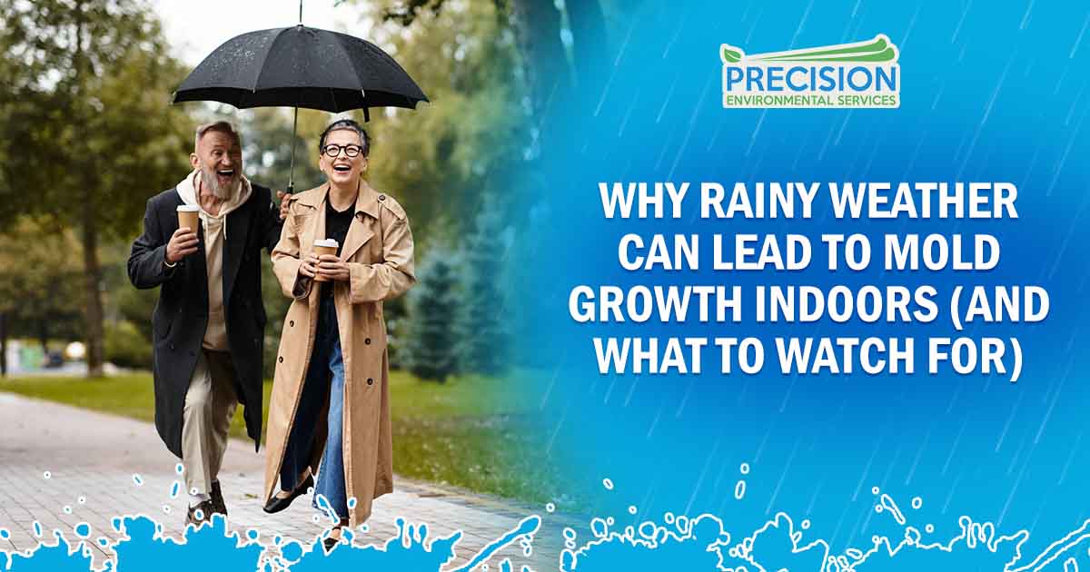 Why Rainy Weather Can Lead to Mold Growth Indoors (and What to Watch For)