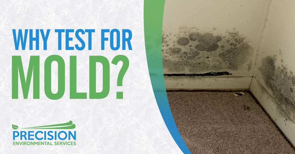 Image of the corner of a beige colored wall and carpeted floor with lots of mold on the walls. Why test for mold text is overlaid on a off white patterned background on the left hand side of the image. Testing for mold in Texas is important because the warm, humid climate in the state can create the perfect environment for mold to grow and thrive. In addition, Texas is prone to flooding and water damage, which can also lead to mold growth. Testing for mold can help identify the presence of mold and can help to prevent health problems caused by mold exposure.