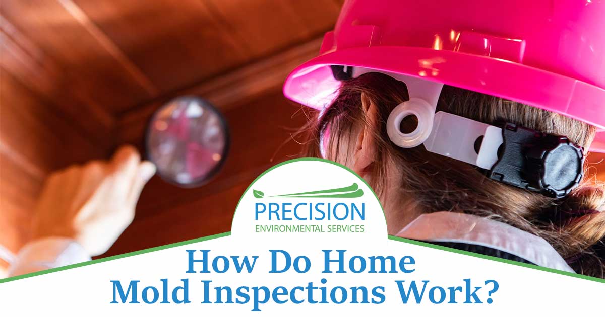 Image of a Mold inspector in red hard hat looking for mold with magnifying glass. How to home mold inspections work text is overlaid on a white background on the bottom center of the image. Home mold inspections involve a thorough visual inspection of the home, including the attic, basement, and crawl space. The inspector will look for visible signs of mold, such as discoloration, staining, or visible growth, as well as any musty odors or signs of water damage. The inspector may also use a moisture meter to detect moisture and humidity levels in walls and other hard-to-reach areas. If necessary, the inspector may also take samples for lab testing. After the inspection is complete, the inspector will provide a detailed report of their findings, which may include recommendations for mold removal and remediation.