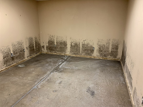 Wall with black mold damage in a mold remediation project overseen by Precision Environmental Services.