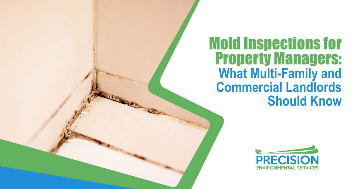 Mold growing along an interior wall corner that may indicate moisture intrusion.