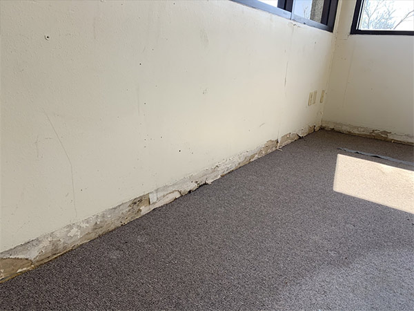 Wall with mold in a mold remediation project overseen by Precision Environmental Services.