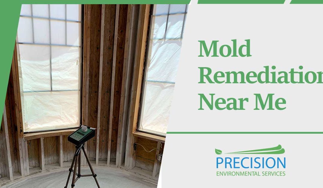 Mold Remediation Near Me