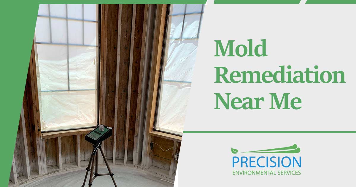 Mold Remediation Near Me