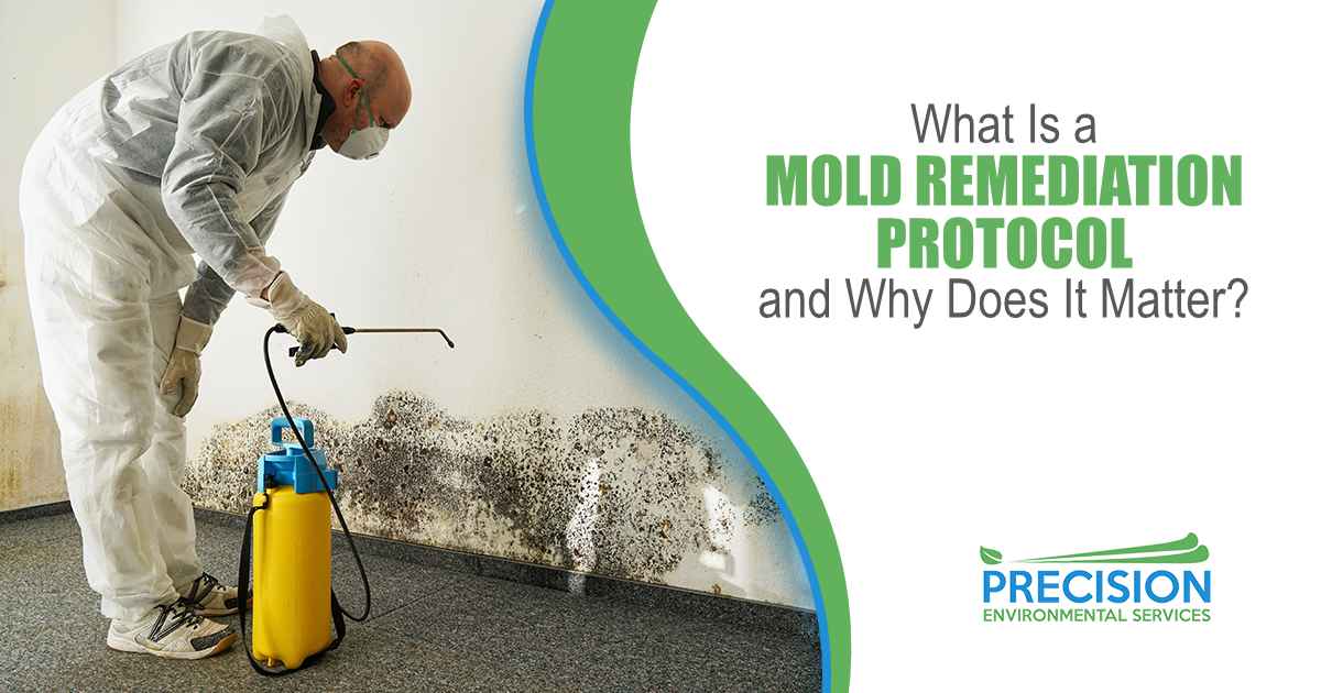 Technician applying treatment to mold-affected surfaces during remediation work that may help address contamination.