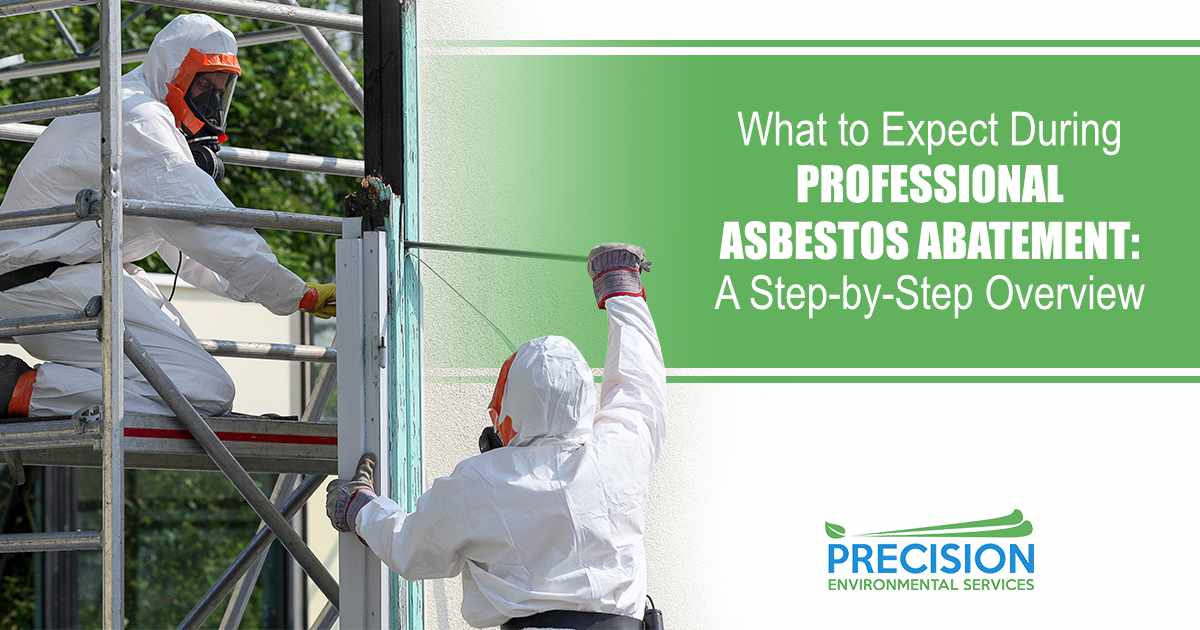What to Expect During Professional Asbestos Abatement: A Step-by-Step Overview