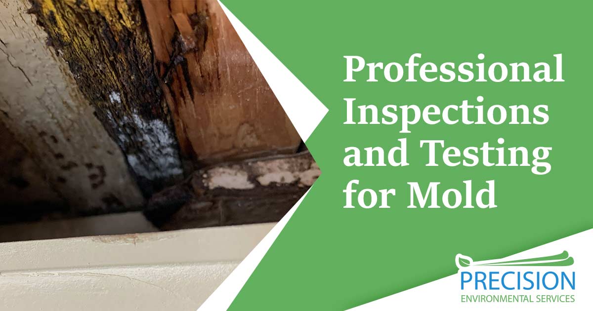Image of damaged and rotted wood in a ceiling covered in mold. Professional inspections and testing for mold text is overlaid on a green background on the right hand side of the image. Professional inspections and testing for mold typically involve a visual inspection of the property and/or laboratory testing of samples taken from the property. The visual inspection typically looks for signs of mold growth and water damage, while laboratory testing helps to determine the type of mold present and the extent of contamination. Professional mold inspections and testing help to determine the scope of a mold problem and what types of treatments are necessary to address the issue.