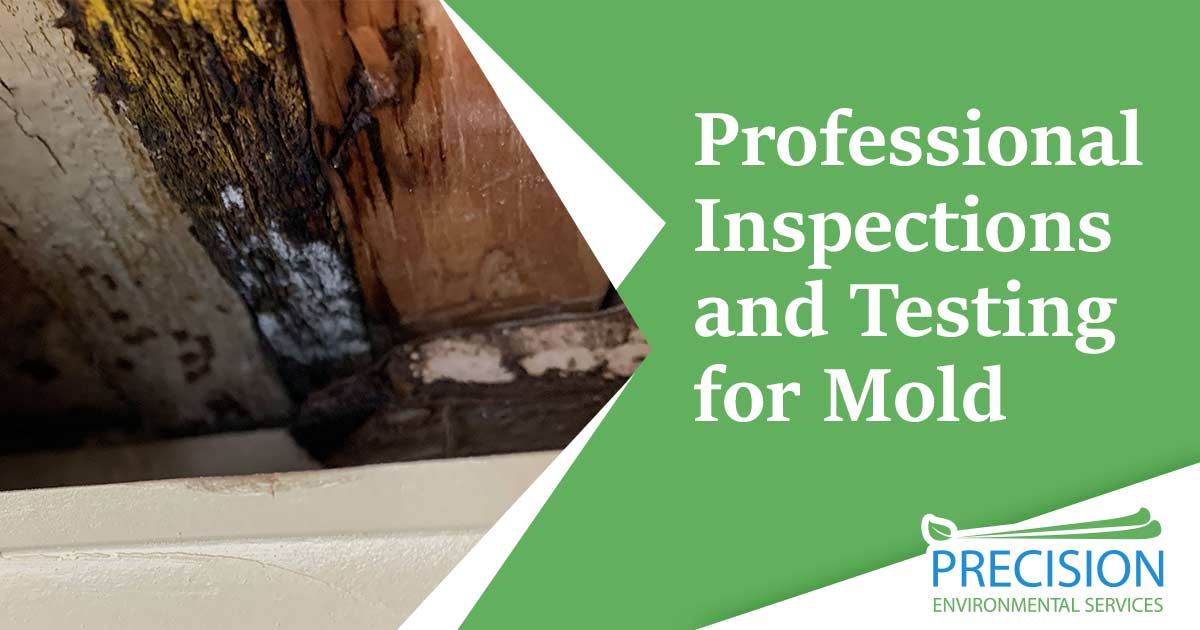 Mold Inspection and Testing